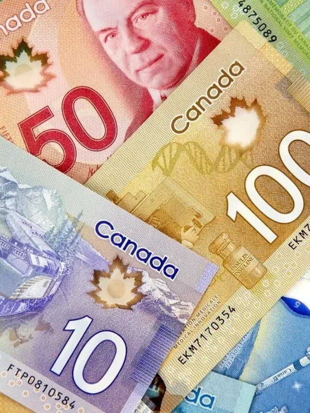 Diversifying Investments: Considering the Canadian Dollar in a USD-Dominated Portfolio